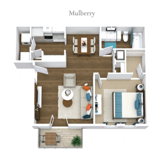 Mulberry Image